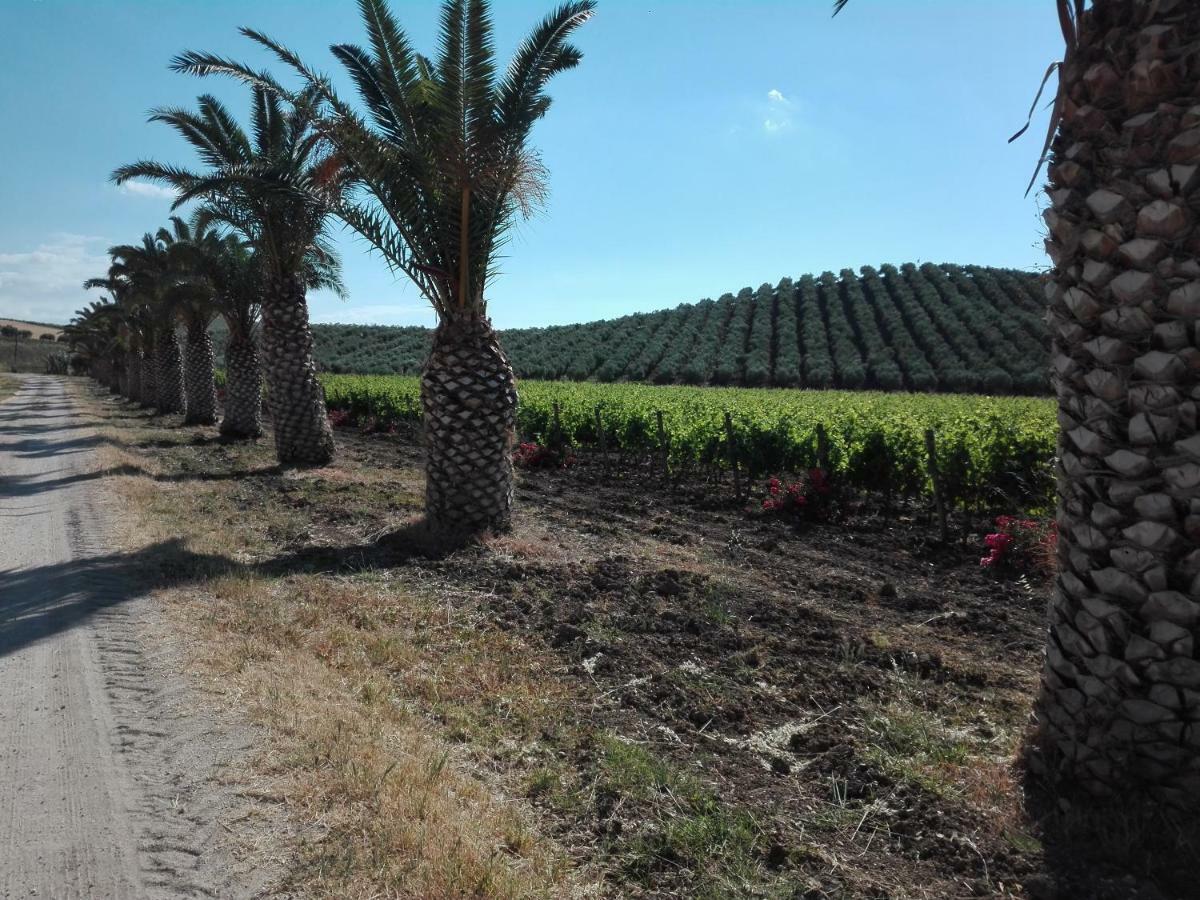 צ'יניזי Villa Manzella Piscina Privata מראה חיצוני תמונה